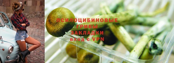 МДПВ Сосновый Бор